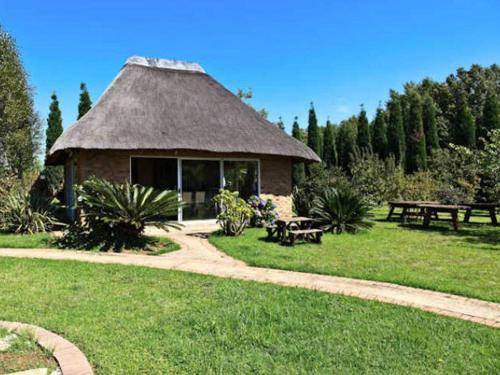 Photo of Buildings in Benoni