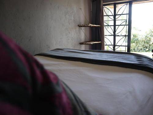 Photo of Bedroom in Emgwenya