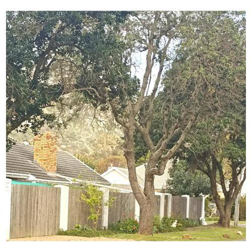Photo of Others in Kommetjie