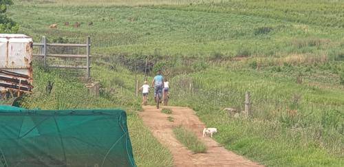 Photo of Others in Mkhondo