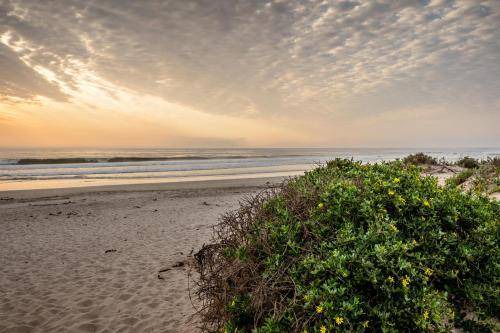 Photo of Outdoor in Stompneusbaai