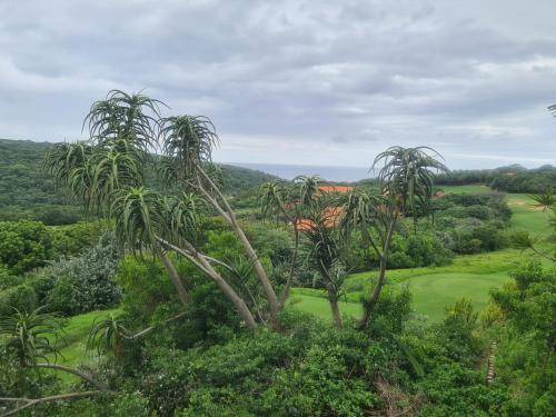 Photo of Others in Zimbali Coastal Estate