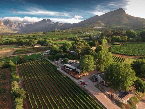 Photo of Others in Cape Winelands