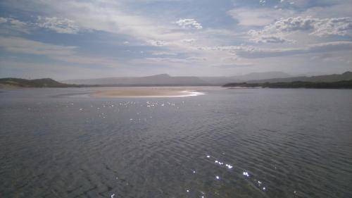 Photo of Others in Sedgefield