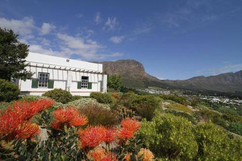 Photo of Others in Franschhoek
