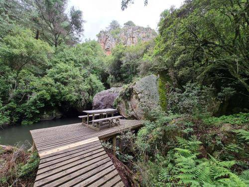 Photo of Others in Dullstroom