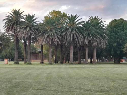 Photo of Buildings in Potchefstroom