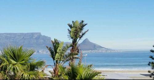Photo of Others in Bloubergstrand