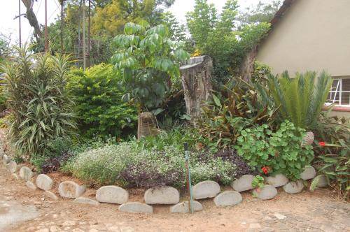 Photo of Others in Nelspruit