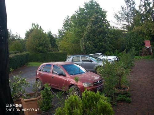 Photo of Others in Lidgetton West
