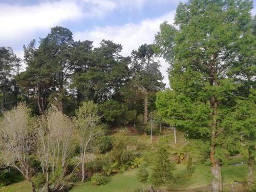Photo of Outdoor in George