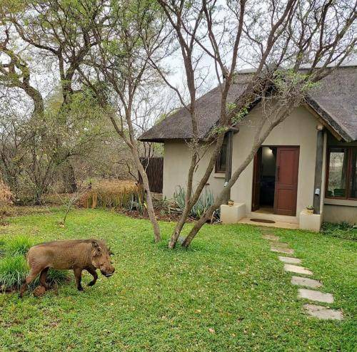 Photo of Others in Hoedspruit