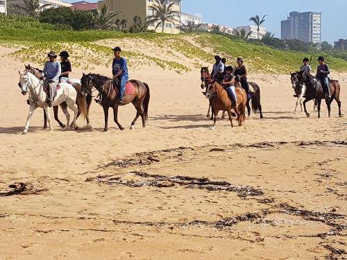 Photo of Others in Amanzimtoti
