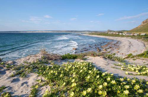 Photo of Others in Elands Bay