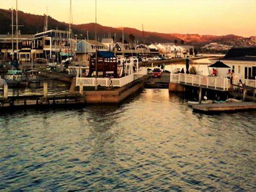 Photo of Others in Knysna Central