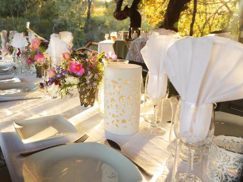Photo of Others in Waterberg