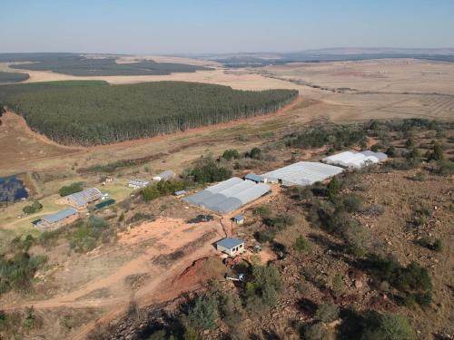 Photo of Others in Mkhondo