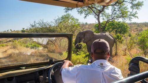 Photo of Others in Kruger National Park