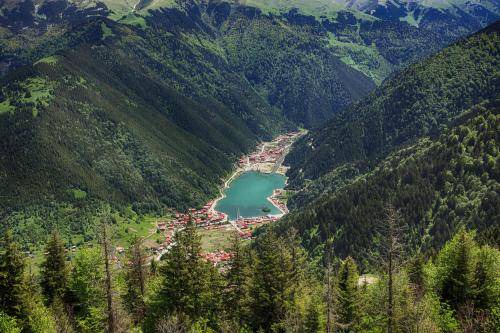 Photo of Others in Trabzon