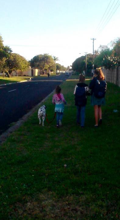 Photo of Others in Flamingo Vlei