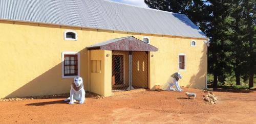 Photo of Others in Franschhoek