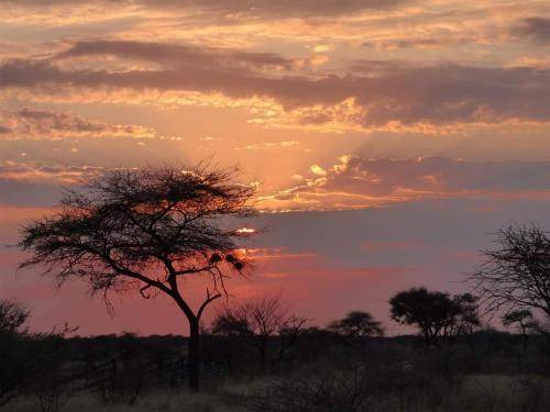 Photo of Others in Marloth Park