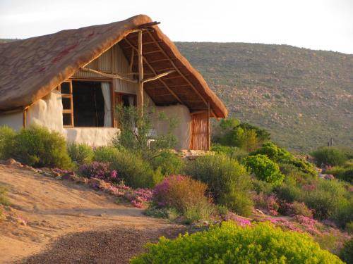 Photo of Others in Cederberg
