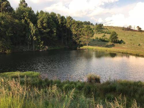 Photo of Others in Dullstroom