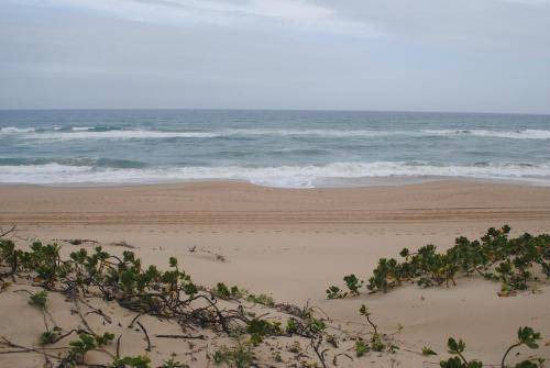 Photo of Others in Amanzimtoti