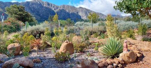 Photo of Others in Franschhoek