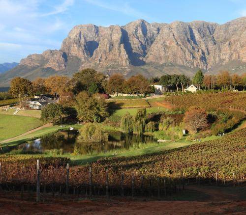 Photo of Others in Cape Winelands
