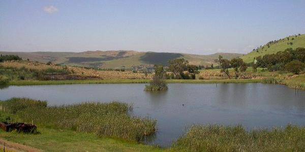 Photo of Others in Dullstroom