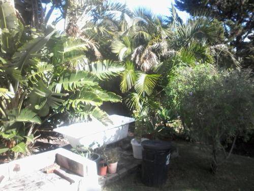 Photo of Others in Sandbaai