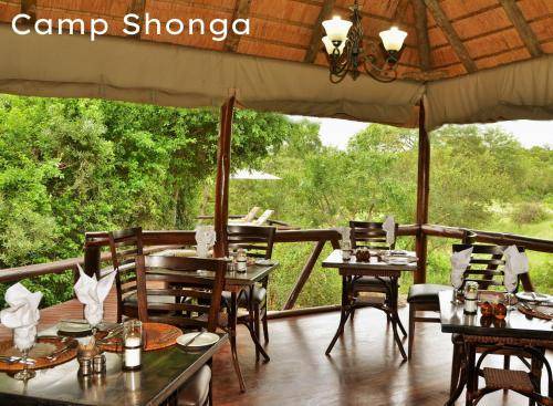 Photo of Others in Kruger National Park