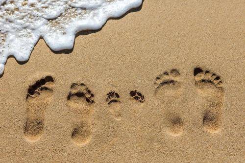 Photo of Others in Cape Saint Francis