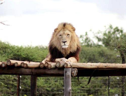 Photo of Others in Polokwane