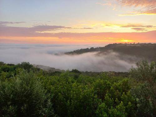 Photo of Outdoor in Wilderness