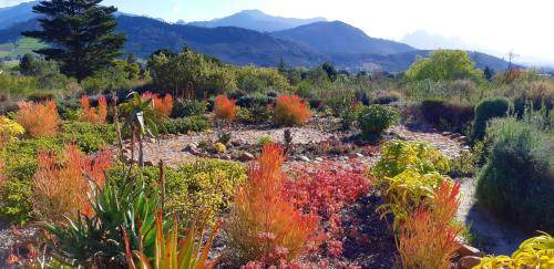 Photo of Others in Franschhoek