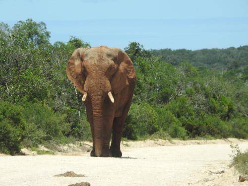 Photo of Others in Port Elizabeth