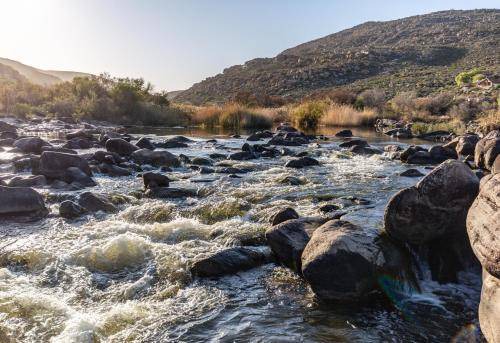 Photo of Others in Cederberg