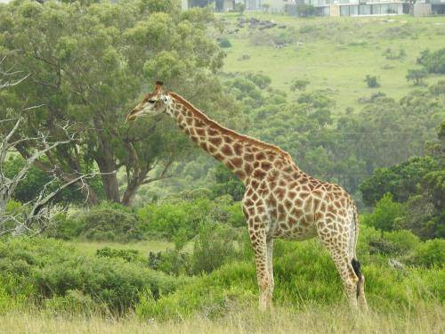 Photo of Others in Port Elizabeth
