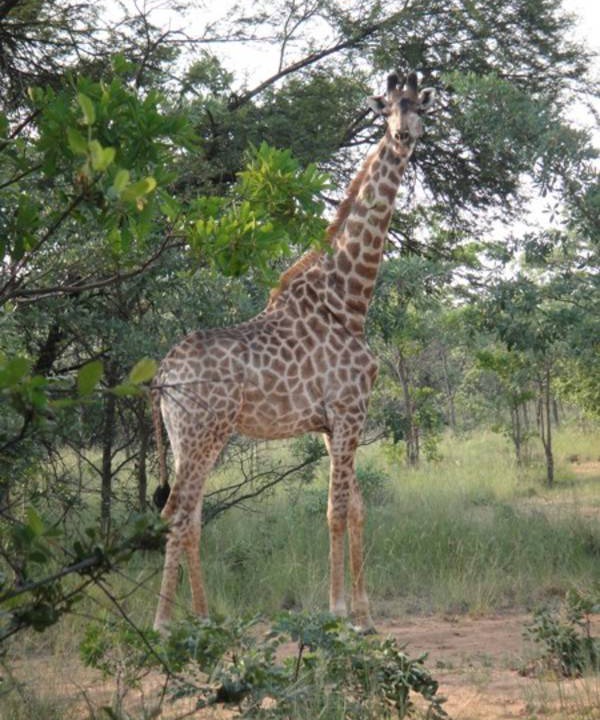 Photo of Others in Vaalwater