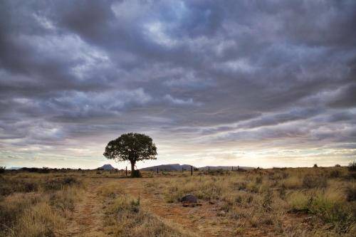 Photo of Others in Graaff-Reinet