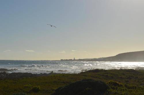 Photo of Others in L'Agulhas