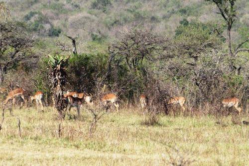 Photo of Others in Pietermaritzburg