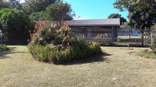 Photo of Others in Sabie