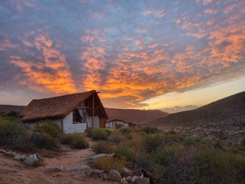 Photo of Others in Cederberg