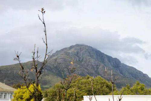 Photo of Others in Stellenbosch Central