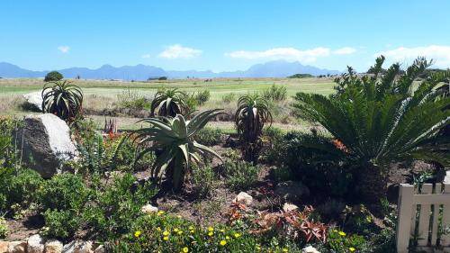 Photo of Others in Herolds Bay