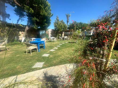 Photo of Others in Urla